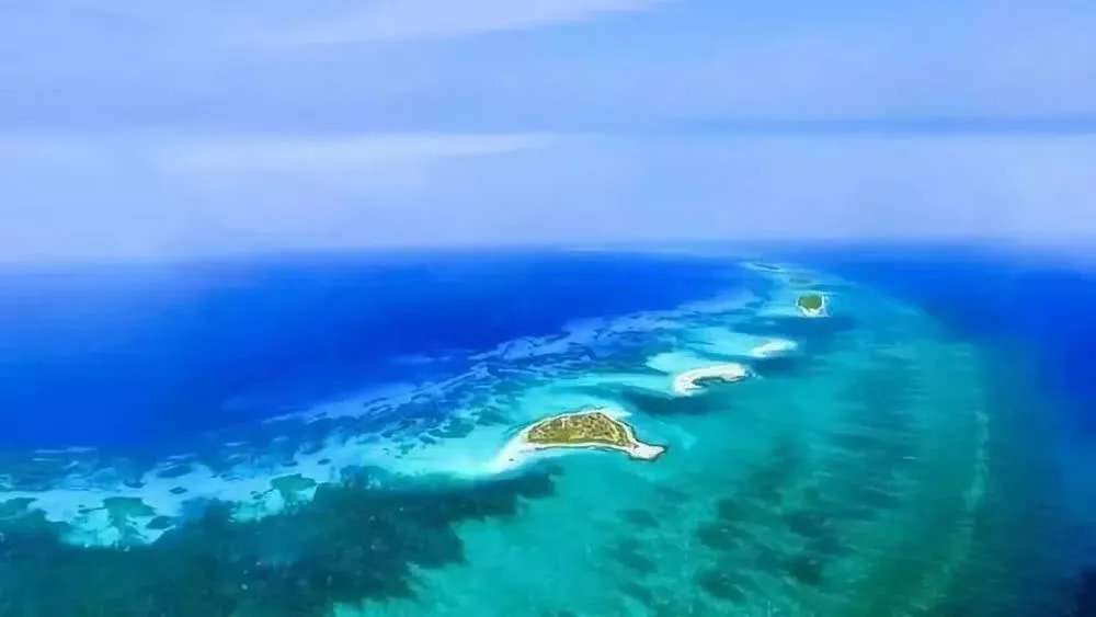 “海南自由港”震撼登場(chǎng)！40個(gè)亮點(diǎn)東方和利帶你一文看懂